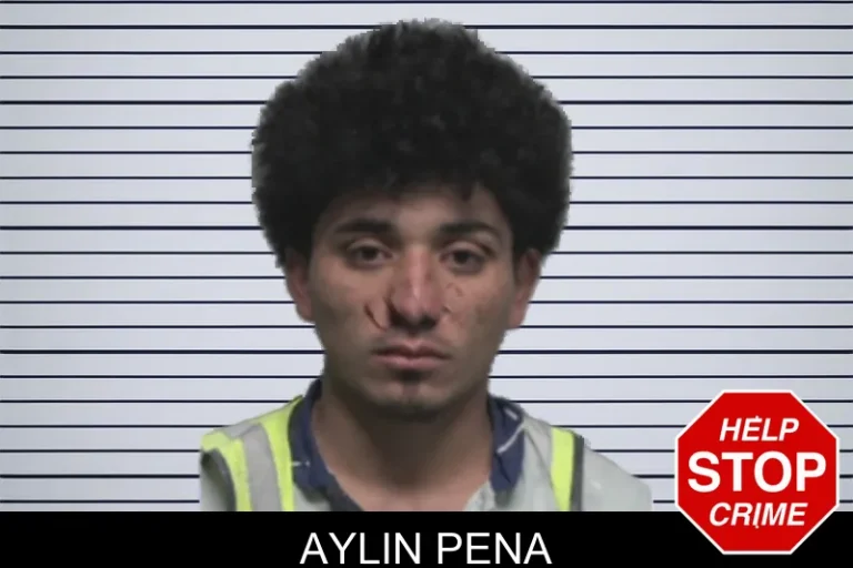 Aylin Pena