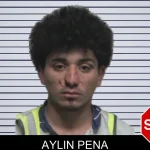 Aylin Pena mugshot