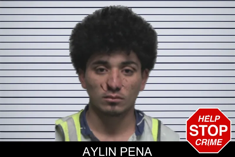 Aylin Pena mugshot
