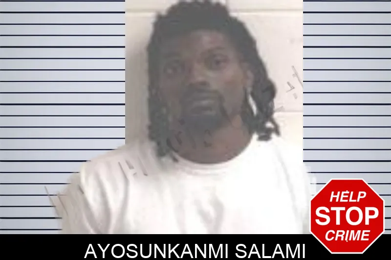 Ayosunkanmi Salami mugshot