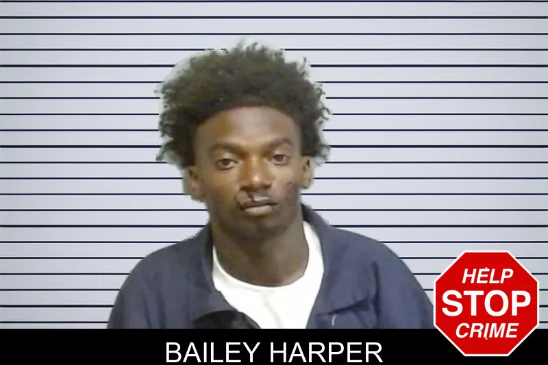 Bailey Harper mugshot