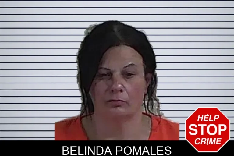 Belinda Pomales mugshot – Fannin County , Georgia Belinda Pomales