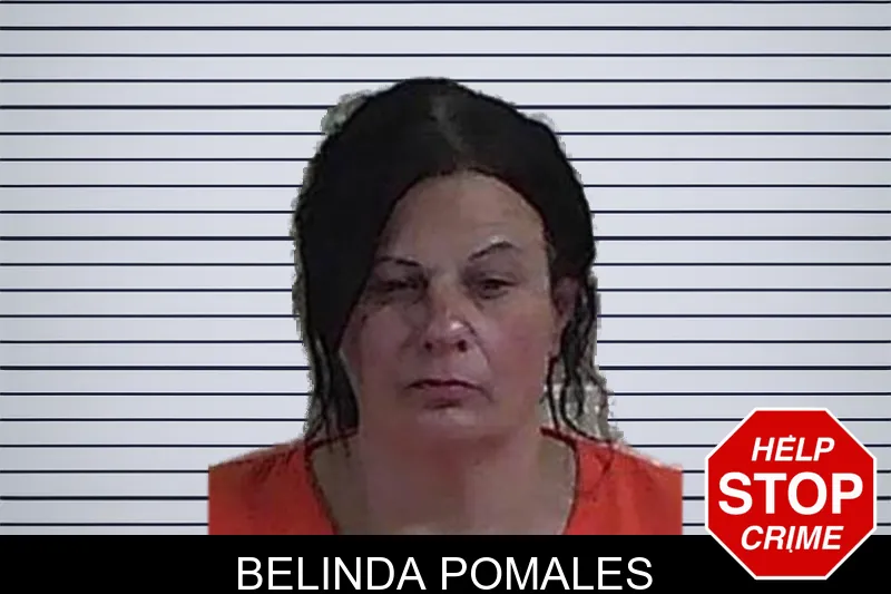 Belinda Pomales mugshot