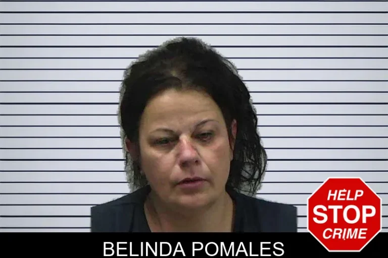 Belinda Pomales