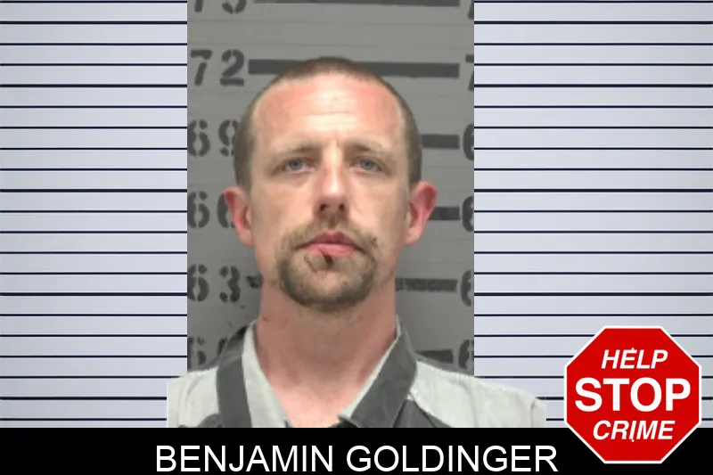Benjamin Goldinger mugshot