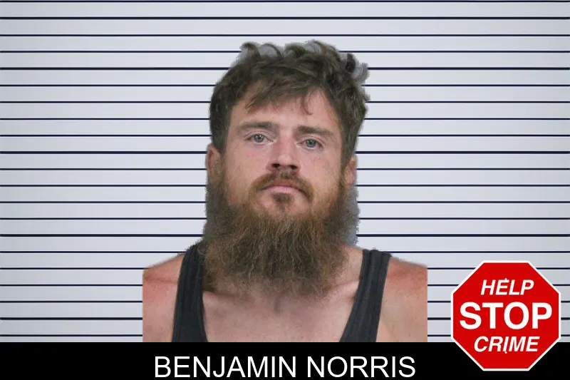 Benjamin Norris mugshot – Catoosa County , Georgia Benjamin Norris mugshot