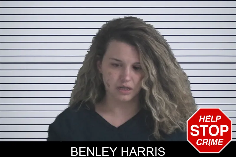 Benley Harris mugshot – Brantley County , Georgia Benley Harris mugshot