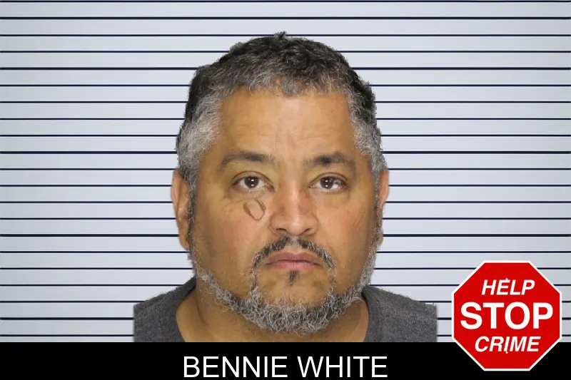 Bennie White mugshot – Cobb County , Georgia Bennie White mugshot