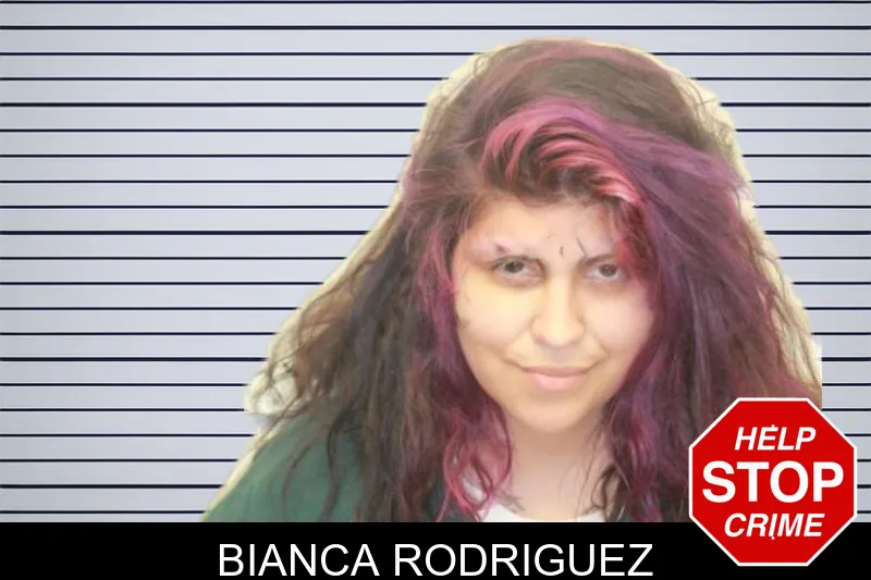 Bianca Rodriguez mugshot – Chatham County , Georgia Bianca Rodriguez mugshot