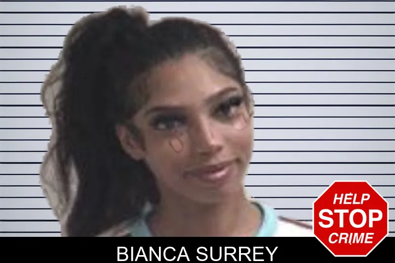 Bianca Surrey mugshot – Henry County , Georgia Bianca Surrey mugshot