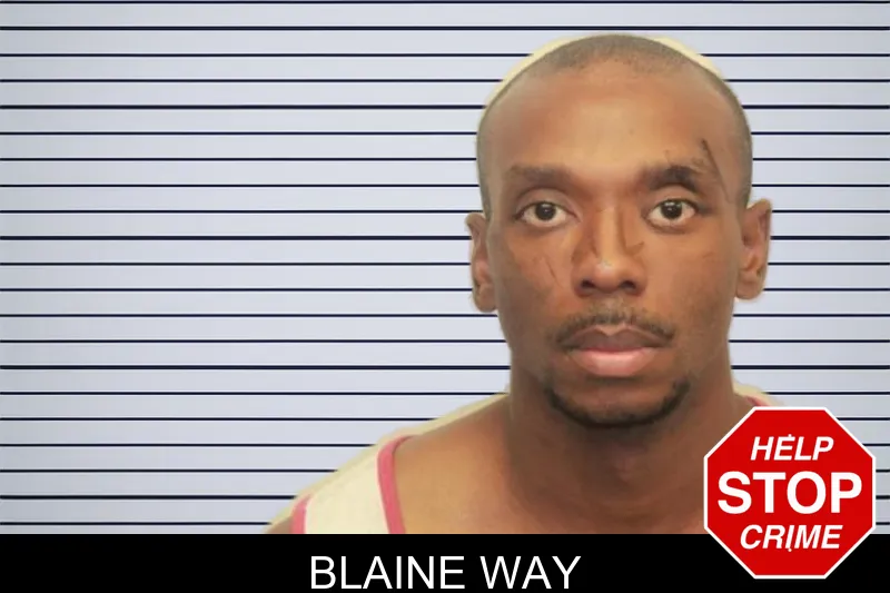 Blaine Way mugshot – Chatham County , Georgia Blaine Way mugshot
