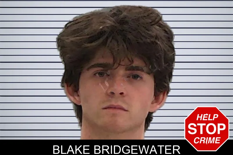 Blake Bridgewater mugshot