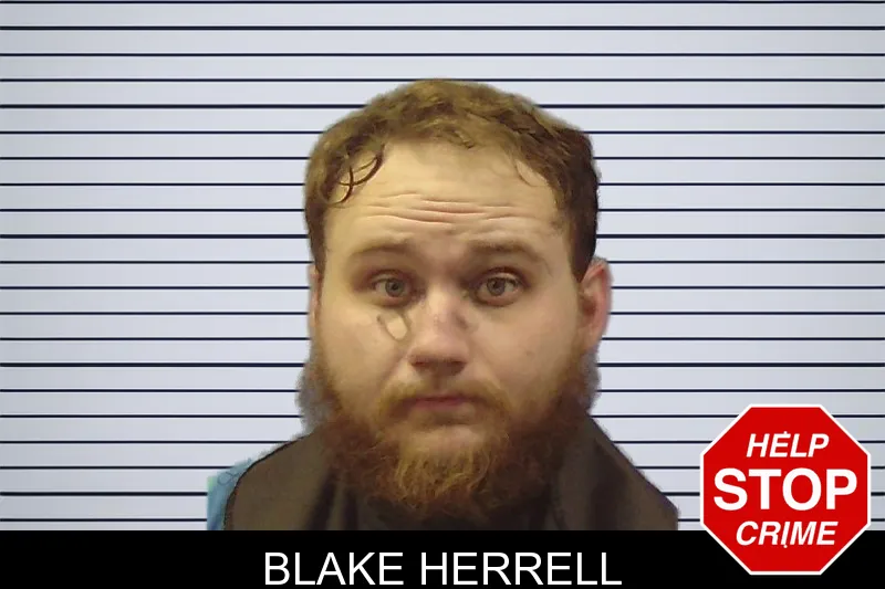 Blake Herrell mugshot