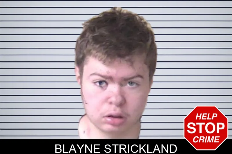 Blayne Strickland mugshot