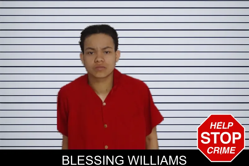 Blessing Williams mugshot