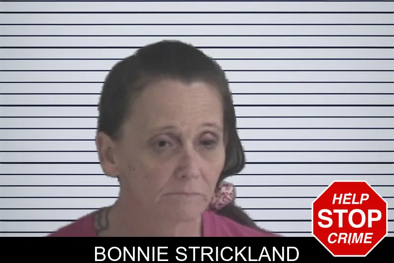 Bonnie Strickland mugshot – Brantley County , Georgia Bonnie Strickland mugshot