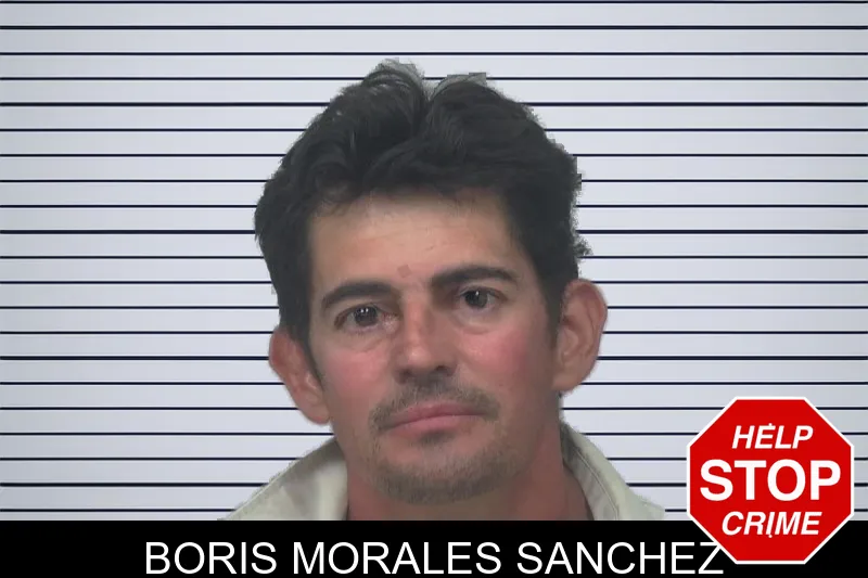 Boris Morales Sanchez mugshot