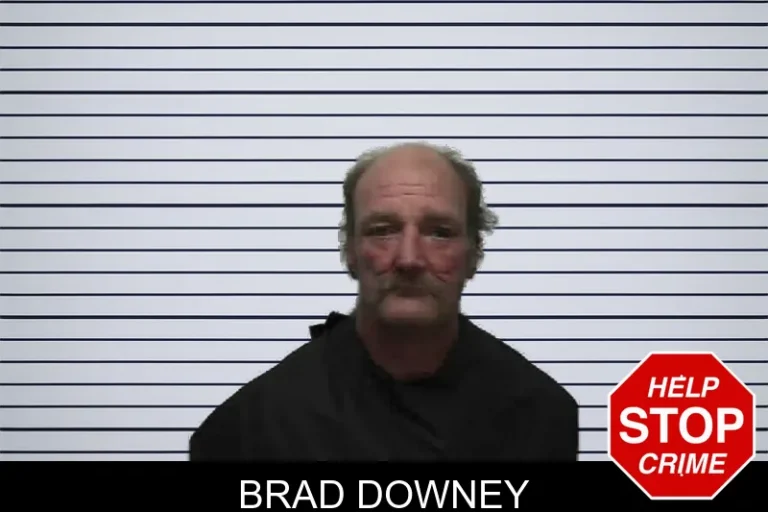 Brad Downey