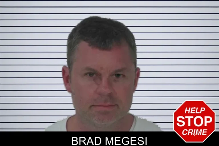 Brad Megesi