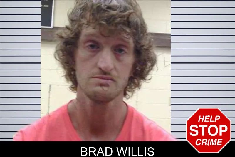 Brad Willis mugshot