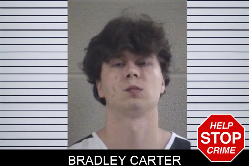 Bradley Carter mugshot