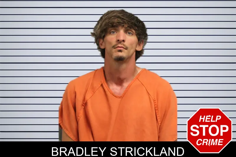 Bradley Strickland mugshot