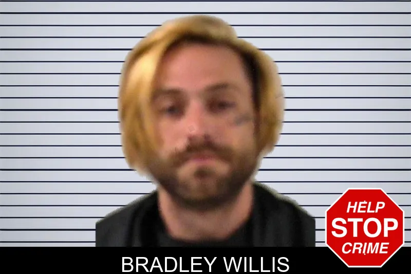 Bradley Willis mugshot