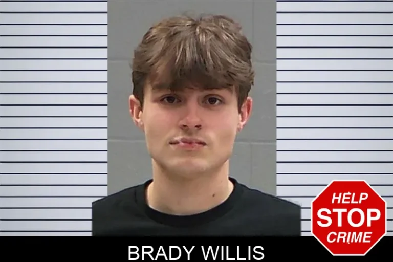 Brady Willis