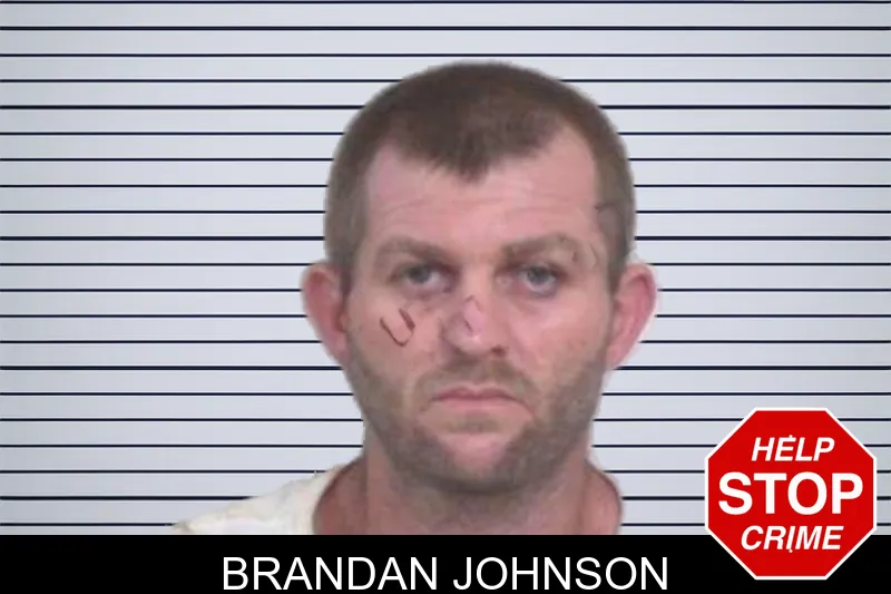 Brandan Johnson mugshot