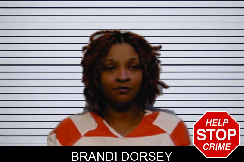 Brandi Dorsey mugshot