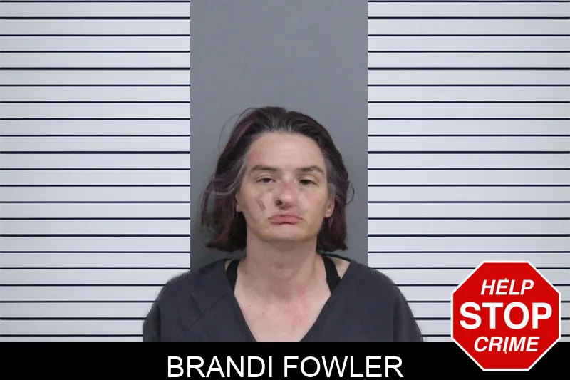 Brandi Fowler mugshot