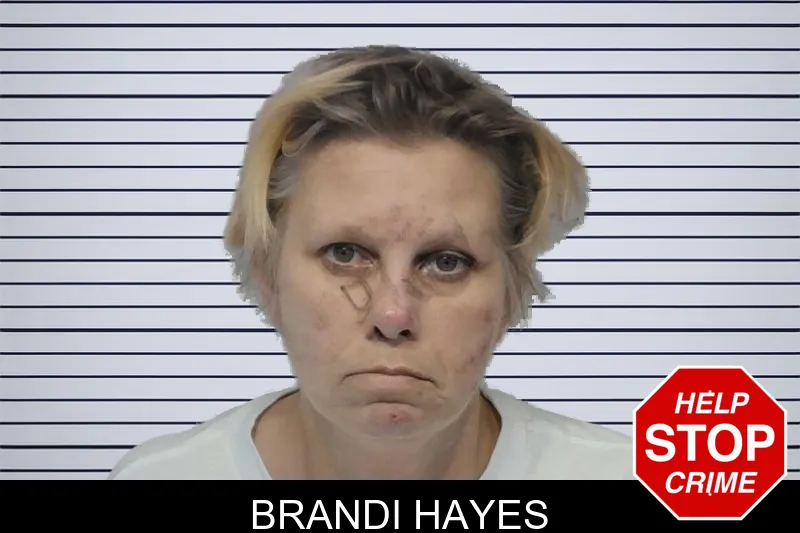 Brandi Hayes mugshot – Bibb County , Georgia Brandi Hayes mugshot