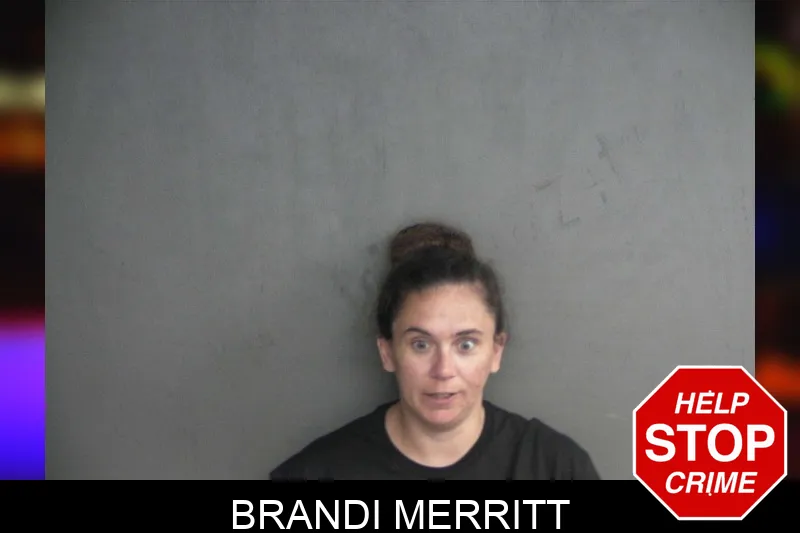 Brandi Merritt mugshot – Twiggs County , Georgia Brandi Merritt mugshot
