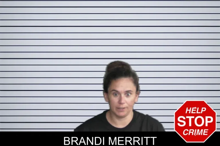 Brandi Merritt mugshot – Twiggs County , Georgia Brandi Merritt