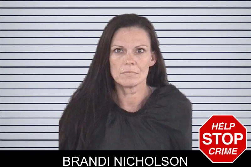 Brandi Nicholson mugshot