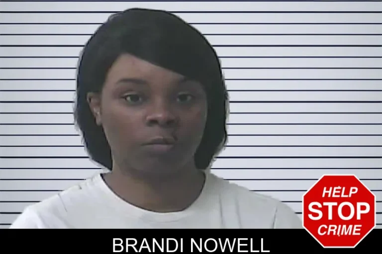 Brandi Nowell mugshot – Oconee County , Georgia Brandi Nowell