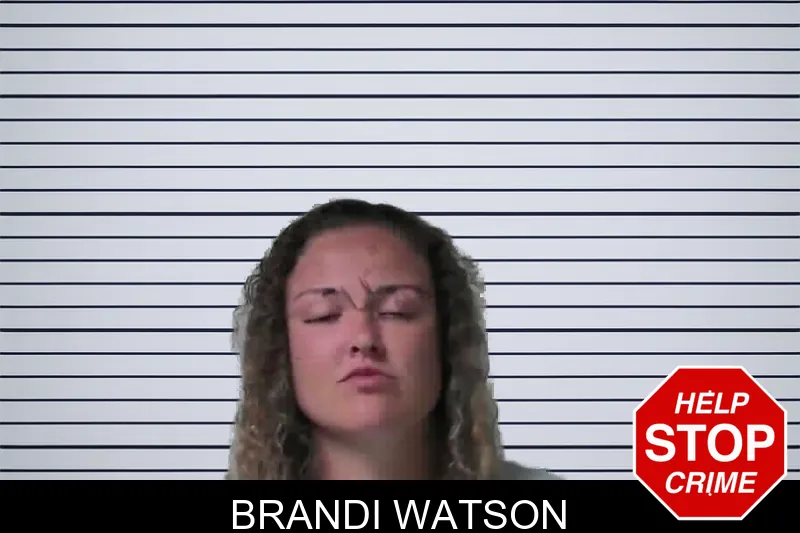 Brandi Watson mugshot