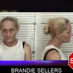 Brandie Sellers mugshot