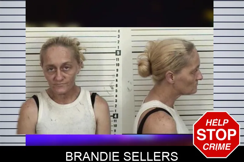 Brandie Sellers mugshot