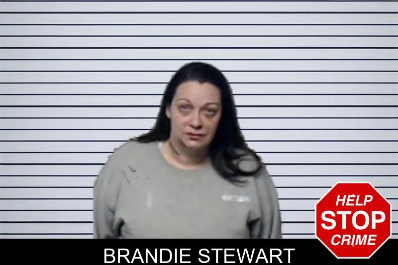 Brandie Stewart mugshot