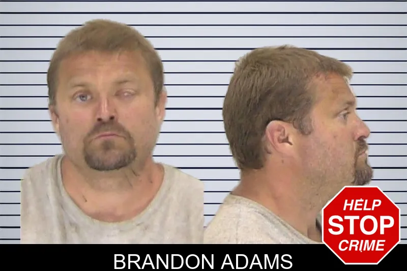 Brandon Adams mugshot