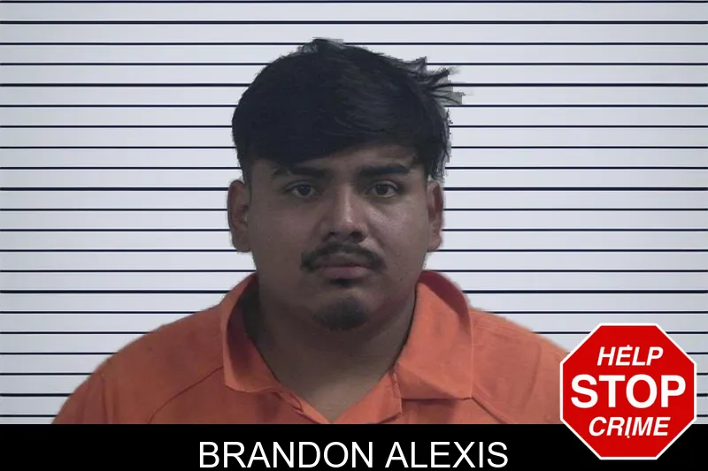 Brandon Alexis mugshot