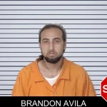 Brandon Avila mugshot