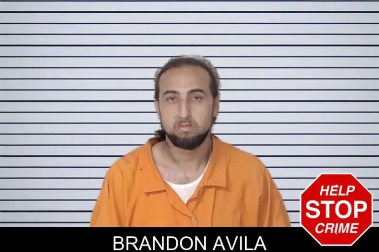 Brandon Avila