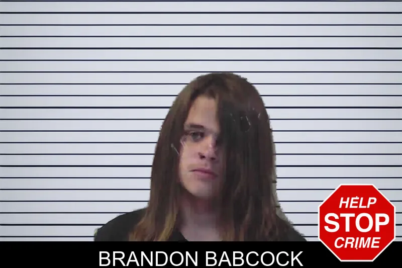 Brandon Babcock mugshot