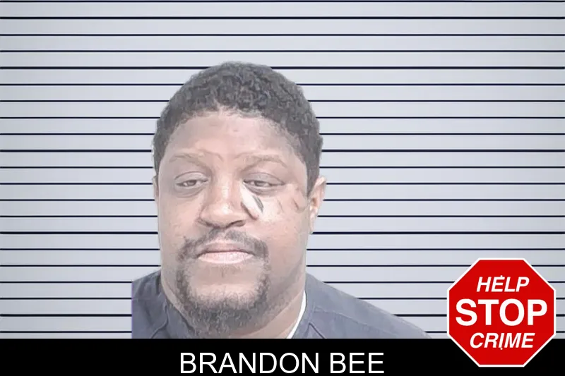 Brandon Bee mugshot