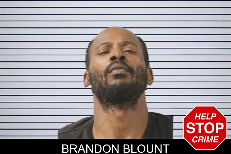 Brandon Blount mugshot – Toombs County , Georgia Brandon Blount mugshot