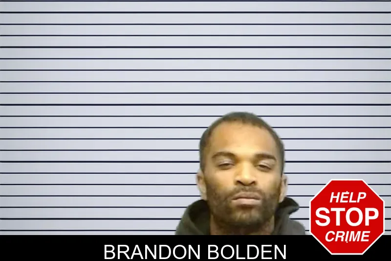 Brandon Bolden mugshot