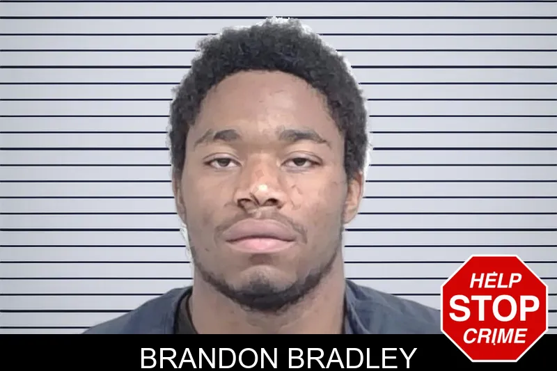 Brandon Bradley mugshot – Lowndes County , Georgia Brandon Bradley mugshot