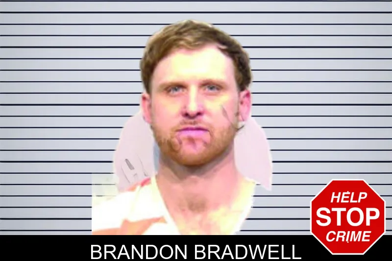 Brandon Bradwell mugshot